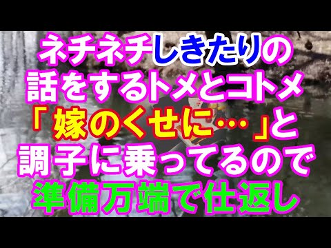 【スカッと】ネチネチ仕来りの話をするトメとコトメ。→コトメ「恥ずかしいからしっかりしてよね！」→私「‥ご存知ですか？」→ついに動き出す復◯劇（スカッとガーデン）