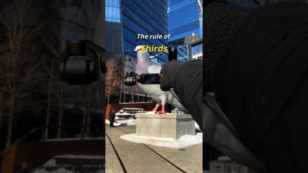 Stop centering everything!📸 ｜ Osmo Pocket 3