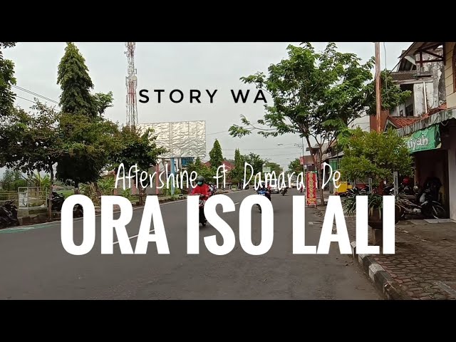 Aftershine ft Damara De - Ora Iso Lali || Story WA || Status WA class=