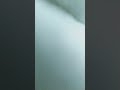 random video