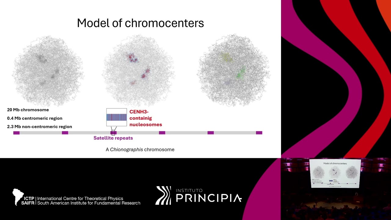 Amanda Souza Câmara, Mariana Simões Ferreira, Marcelo D. Polêto and Shaker Chuck Farah