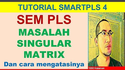 SEM PLS SINGULAR MATRIX PROBLEM AND HOW TO SOLVE IT.