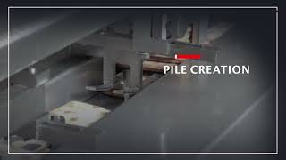IMA Record PANDA BS RS with FLOWBISCUIT PL | Semi-automated packaging line for crackers in pile