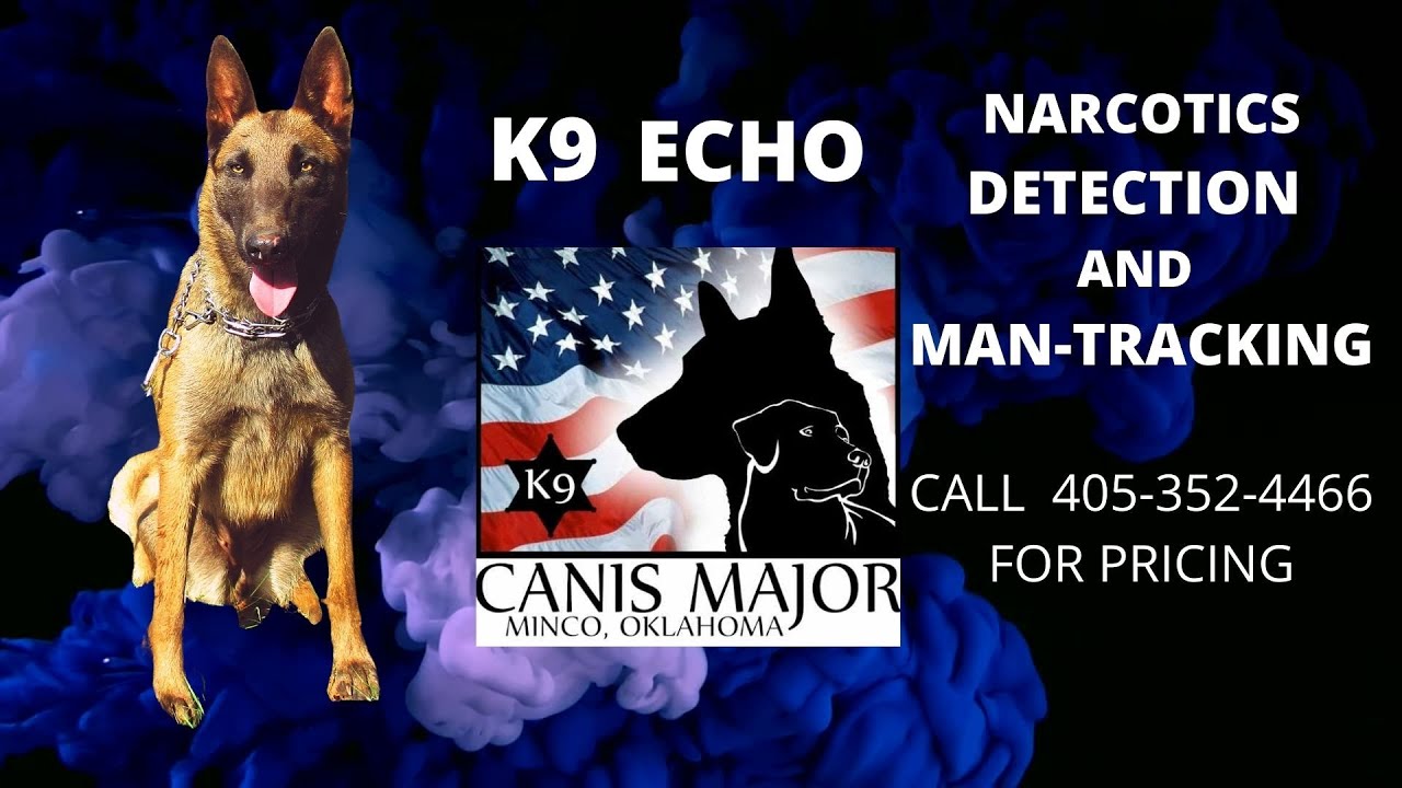 ECHO TRAINING EXERCISE - YouTube