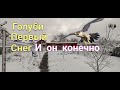 Выгнал Голубей в первый снег и как всегда.I drove the Pigeons out into the first snow and as always