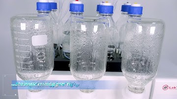 Video AutoEmpore 2025