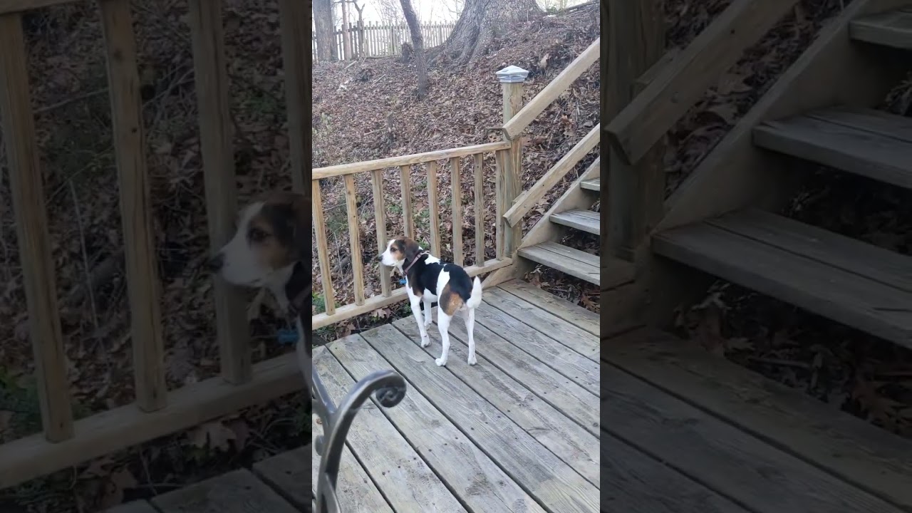 PXL 20220401 231855904