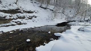 Discover the Secret Melody of a Snowy Winter River