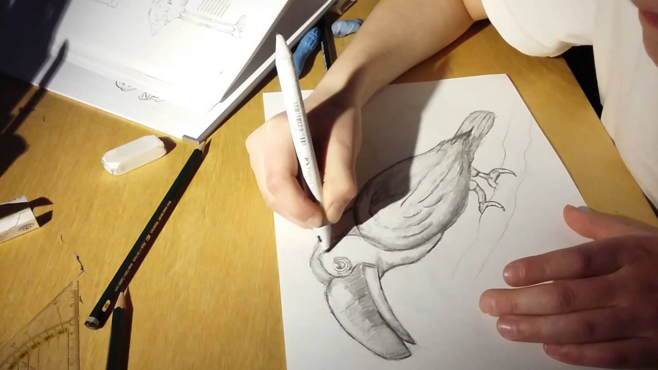 Painting a Bird/ Speed Painter - YouTube