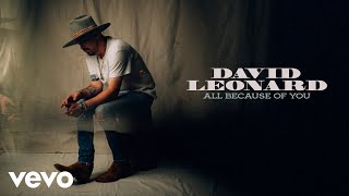 David Leonard - All Because of You (Lyric Video)