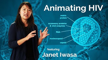 Janet Iwasa: Animating HIV