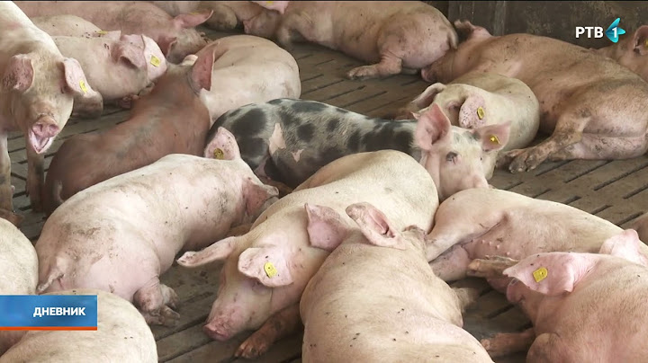 Da li je skorašnja kiša mogla da pomogne ratarskim usevima