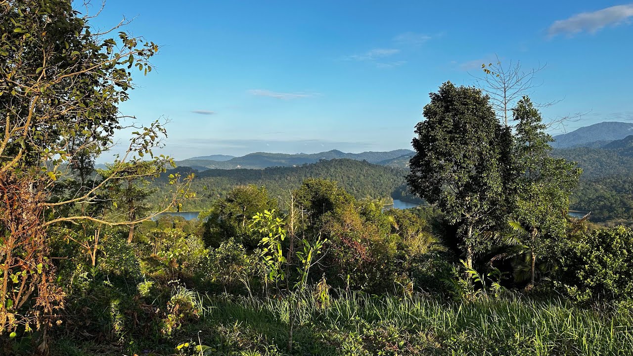Bukit Pau via Kemensah