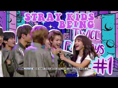 STRAY KIDS BEING TWICE FANBOYS