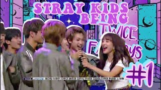 STRAY KIDS BEING TWICE FANBOYS