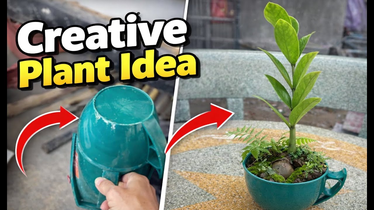 From Plastic Cup to Mini Garden | Simple & Creative Plant Idea
