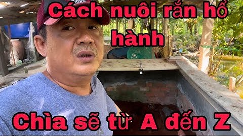 #170 cách nuôi rắn hổ hành hiệu quả nhất mới nhất hiện đại nhất @huunghivlog