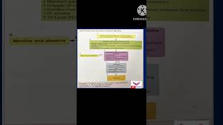 Adult Bradycardia treatment algorithm