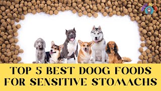 ✅Top 5 Highly Recommended Dog Foods for Dogs with Sensitive Stomachs 2024