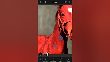 Create cutout and superimpose using LightX Photo Editor for iPhone