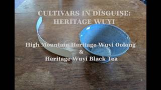 High Mountain Heritage Wuyi Oolong &amp; Heritage Wuyi Black Tea