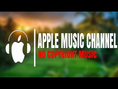 alan-walker---framed-[-no-copyright-music-]