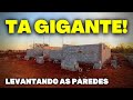 LEVANTANDO AS PAREDES DA MINHA CASA | FINALMENTE A CASA ESTÁ SAINDO! | ATUALIZAÇÕES DA CONSTRUÇÃO