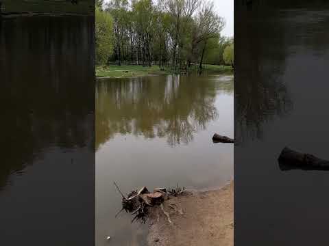 Video: The Trubezh River in Pereslavl-Zalessky