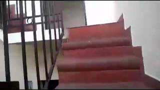 WP 20150203 015 1