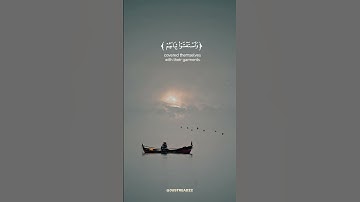 فقلت استغفروا ربكم إنه كان غفارا □ تلاوة ماهر المعيقلي ♡