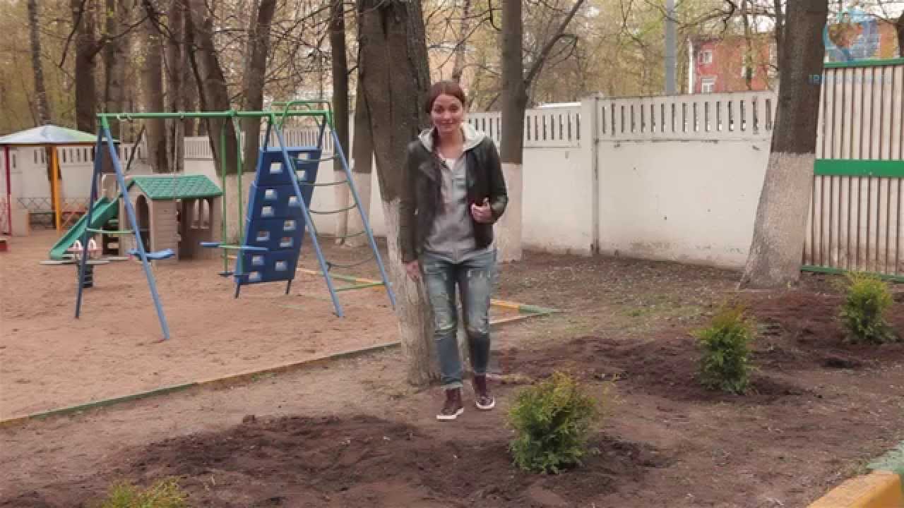 Сажаем деревья вместе с Irrigator.ru