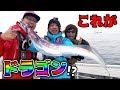 水深150mの海でドラゴンと呼ばれる魚が・・・