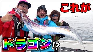 水深150mの海でドラゴンと呼ばれる魚が・・・