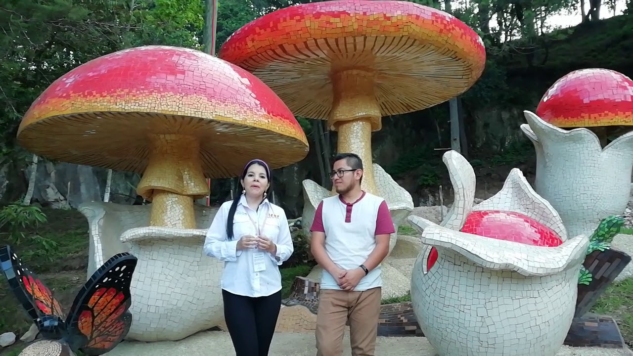 Choro Intibuca Monumento al Choro en la Esperanza, Intibucá y lo que simboliza - YouTube
