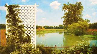 Lake Foliage - Free 4K Motion Background - Instant Download