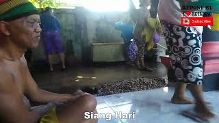 PROSES PENGUPASAN ALE-ALE KHAS KETAPANG KALBAR