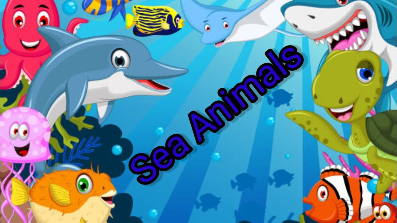 What are the names of sea animals let s learn about sea animals 