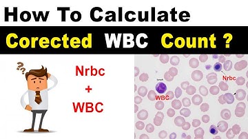 Corrected WBC Count ( Clear Explain )