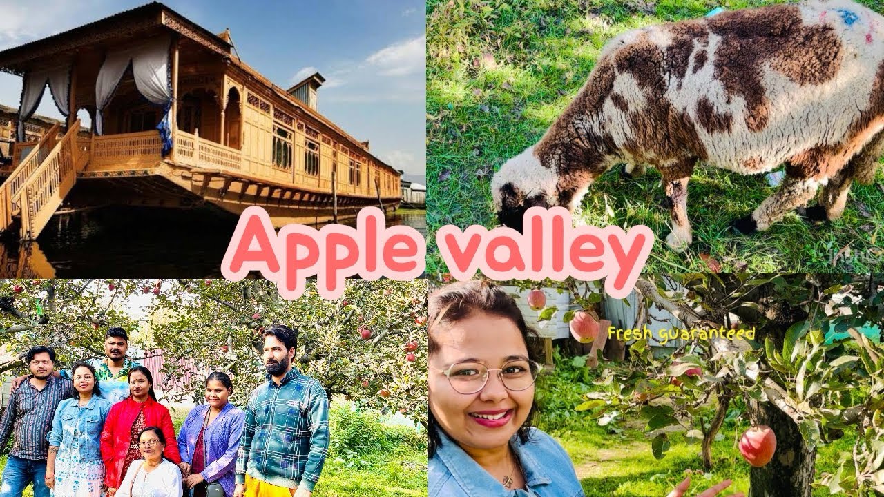 KASHMIRI APPLE 🍎 KA PED MIL GAYA😲 