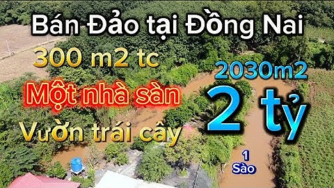 2000 m2 đất có 300 m2 thổ cư view sông 3 mặt tiền !!! Có nhà sàn gổ, vườn trái cây. Chủ cần bán gấp