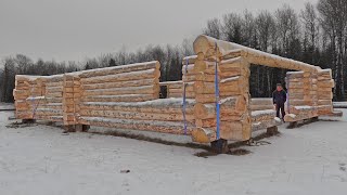 MASSIVE Log Home BUILD Comes To Life! - Building My Log Home Pt. 11