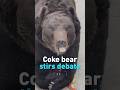 Coke bear stirs debate