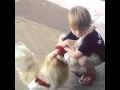 А ты обнимал свою курицу сегодня