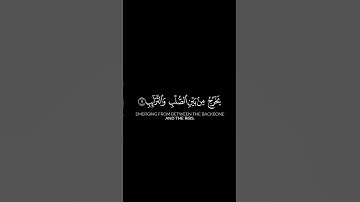 ﴿ فَلْيَنظُرِ الْإِنسَانُ مِمَّ خُلِقَ﴾ | سورة الطارق - القارئ #ماهر_المعيقلي