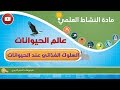 التغذية السلوك الغذائي عند الحيوانات