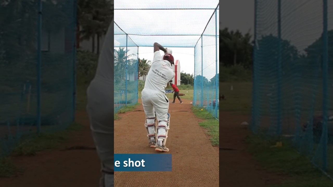 Basic key points to step out and drive - Cricket Batting Tips | Boys of Beau Cricket Academy