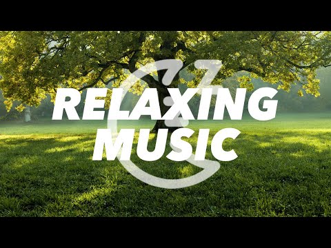 Stress-Busting Music! Calm Your Mind and Body