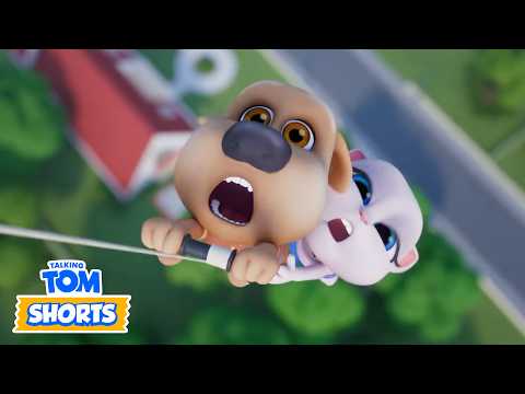 Vol de cerf-volant (ÇA TOURNE MAL) | Talking Tom & Friends France | Dessin animé