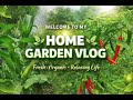 Zero Cost Organic Farming at Home 😍 | Full Guide + Tour #GardenVlog #Gardening #OrganicFarming