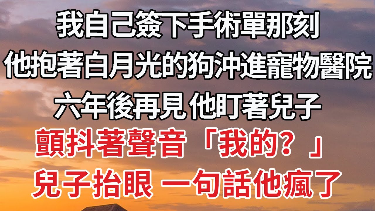 【完結】我自己簽下手術單那刻，他抱著白月光的狗沖進寵物醫院，六年後再見 他盯著兒子，顫抖著聲音「我的？」兒子抬眼 一句話他瘋了#婚姻 #豪门 #情感